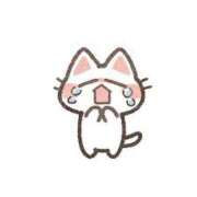 ここね 🙇 アラモード