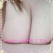 ヒメ日記 2026/04/22 12:51 投稿 りょう ちゃんこ長野塩尻北IC店