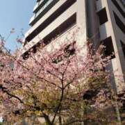 ヒメ日記 2025/02/28 21:15 投稿 やよい 西船人妻花壇