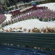 ヒメ日記 2025/03/02 11:06 投稿 やよい 西船人妻花壇