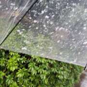 ヒメ日記 2025/03/03 15:00 投稿 やよい 西船人妻花壇