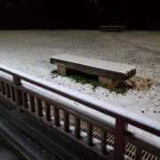 ヒメ日記 2025/03/05 12:01 投稿 やよい 西船人妻花壇