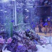 ヒメ日記 2025/03/07 22:15 投稿 やよい 西船人妻花壇