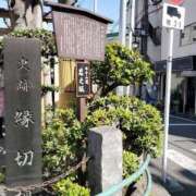 ヒメ日記 2025/03/10 14:15 投稿 やよい 西船人妻花壇