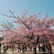 ヒメ日記 2025/03/27 06:15 投稿 やよい 西船人妻花壇