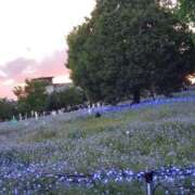 ヒメ日記 2025/05/05 13:15 投稿 やよい 西船人妻花壇