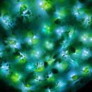 ヒメ日記 2025/05/09 09:13 投稿 やよい 西船人妻花壇