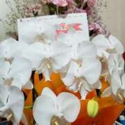 ヒメ日記 2025/05/11 07:15 投稿 やよい 西船人妻花壇