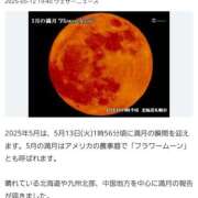 ヒメ日記 2025/05/13 02:04 投稿 やよい 西船人妻花壇