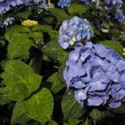 ヒメ日記 2025/05/27 07:15 投稿 やよい 西船人妻花壇