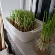 ヒメ日記 2025/06/23 23:28 投稿 やよい 西船人妻花壇