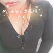 ヒメ日記 2025/07/20 07:18 投稿 やよい 西船人妻花壇