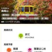 ヒメ日記 2025/10/16 22:16 投稿 やよい 西船人妻花壇