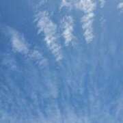 ヒメ日記 2025/10/18 10:22 投稿 やよい 西船人妻花壇