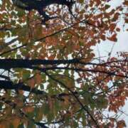 ヒメ日記 2025/11/02 15:07 投稿 やよい 西船人妻花壇