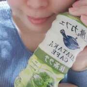 ヒメ日記 2025/11/09 07:20 投稿 やよい 西船人妻花壇