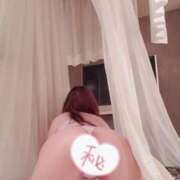 ヒメ日記 2025/11/17 23:08 投稿 やよい 西船人妻花壇