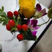 ヒメ日記 2025/11/25 22:25 投稿 やよい 西船人妻花壇