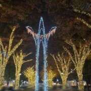 ヒメ日記 2025/12/02 23:28 投稿 やよい 西船人妻花壇