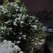 ヒメ日記 2026/02/28 04:48 投稿 やよい 西船人妻花壇