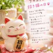 ヒメ日記 2026/09/29 06:44 投稿 やよい 西船人妻花壇