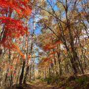 真鍋沙織 おはようございます ミセス・レヴォアール～再会～