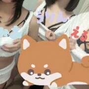 ヒメ日記 2026/03/22 19:54 投稿 みあ 折り紙 ORIGAMI