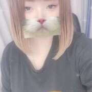 ヒメ日記 2025/01/28 13:35 投稿 ふうか 栃木宇都宮ちゃんこ