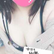 ヒメ日記 2025/09/18 11:05 投稿 ふうか 栃木宇都宮ちゃんこ