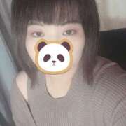 ヒメ日記 2025/11/05 12:45 投稿 ふうか 栃木宇都宮ちゃんこ