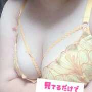 ヒメ日記 2025/11/08 15:05 投稿 ふうか 栃木宇都宮ちゃんこ