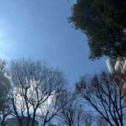 ヒメ日記 2025/03/09 14:01 投稿 柊ねね ヌルテカ