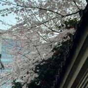 ヒメ日記 2025/03/24 23:54 投稿 柊ねね ヌルテカ