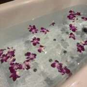 ヒメ日記 2025/04/15 06:40 投稿 柊ねね ヌルテカ