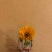 ヒメ日記 2025/05/20 12:20 投稿 柊ねね ヌルテカ