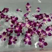 ヒメ日記 2025/12/23 12:31 投稿 柊ねね ヌルテカ