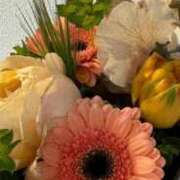 ヒメ日記 2026/01/27 23:50 投稿 柊ねね ヌルテカ