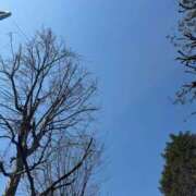 ヒメ日記 2026/03/21 14:00 投稿 柊ねね ヌルテカ