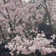 ヒメ日記 2026/03/23 09:00 投稿 柊ねね ヌルテカ