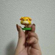 ヒメ日記 2026/04/13 09:20 投稿 柊ねね ヌルテカ