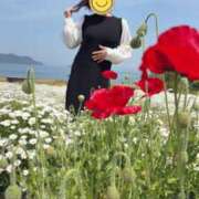 ヒメ日記 2025/05/04 12:12 投稿 りな★人妻KISS★ 人妻kiss