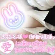 ヒメ日記 2024/12/14 22:30 投稿 浅倉　一花 スッキリ商事