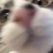 ヒメ日記 2024/12/21 23:00 投稿 浅倉　一花 スッキリ商事