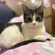 ヒメ日記 2025/02/19 22:30 投稿 浅倉　一花 スッキリ商事