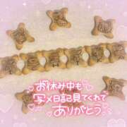 ヒメ日記 2025/03/09 22:30 投稿 浅倉　一花 スッキリ商事