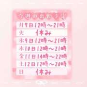 ヒメ日記 2025/04/06 22:30 投稿 浅倉　一花 スッキリ商事