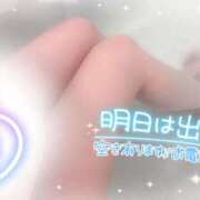 ヒメ日記 2025/04/08 22:30 投稿 浅倉　一花 スッキリ商事