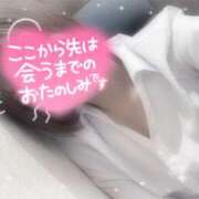 ヒメ日記 2025/04/11 17:00 投稿 浅倉　一花 スッキリ商事