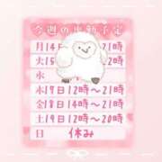 ヒメ日記 2025/04/17 09:30 投稿 浅倉　一花 スッキリ商事