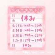 ヒメ日記 2025/04/19 22:30 投稿 浅倉　一花 スッキリ商事